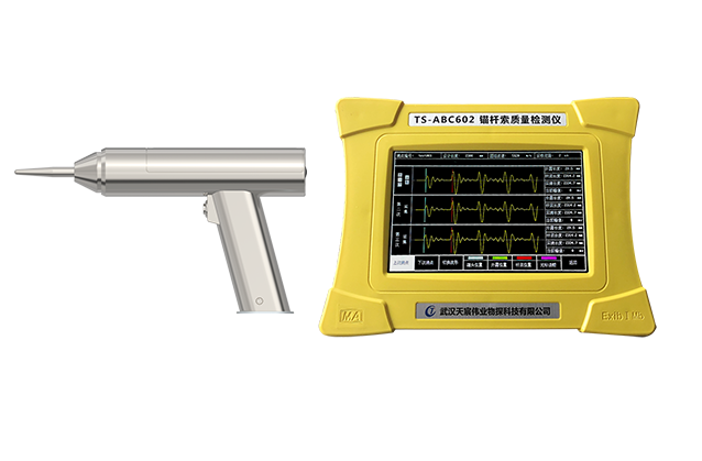 TS-ABC602 錨桿索質(zhì)量檢測(cè)儀 