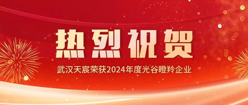 喜訊|武漢天宸蟬聯(lián)2024光谷瞪羚企業(yè)殊榮